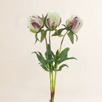 Losse zijden bloem Pioenroos Marlie bundel 3 stuks creme 48 cm