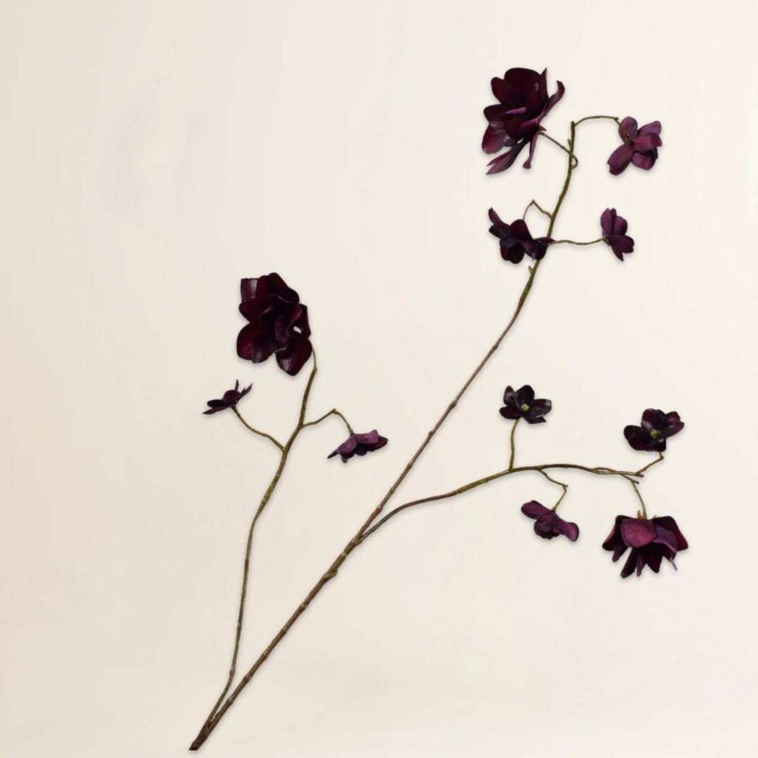 Hortensia tak bordeaux 75 cm