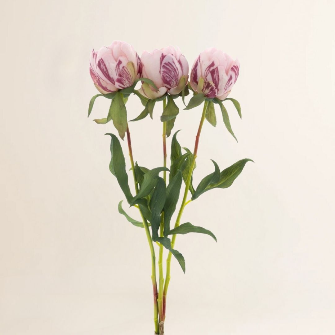 Loss zijden bloem Pioenroos Marlie bundel 3 stuks roze 48 cm