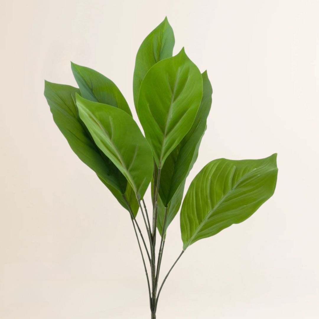 Losse zijden bloem Aglaonema bush groen bush 62 cm