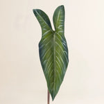 Losse zijden bloem Alocasia leaf 81 cm