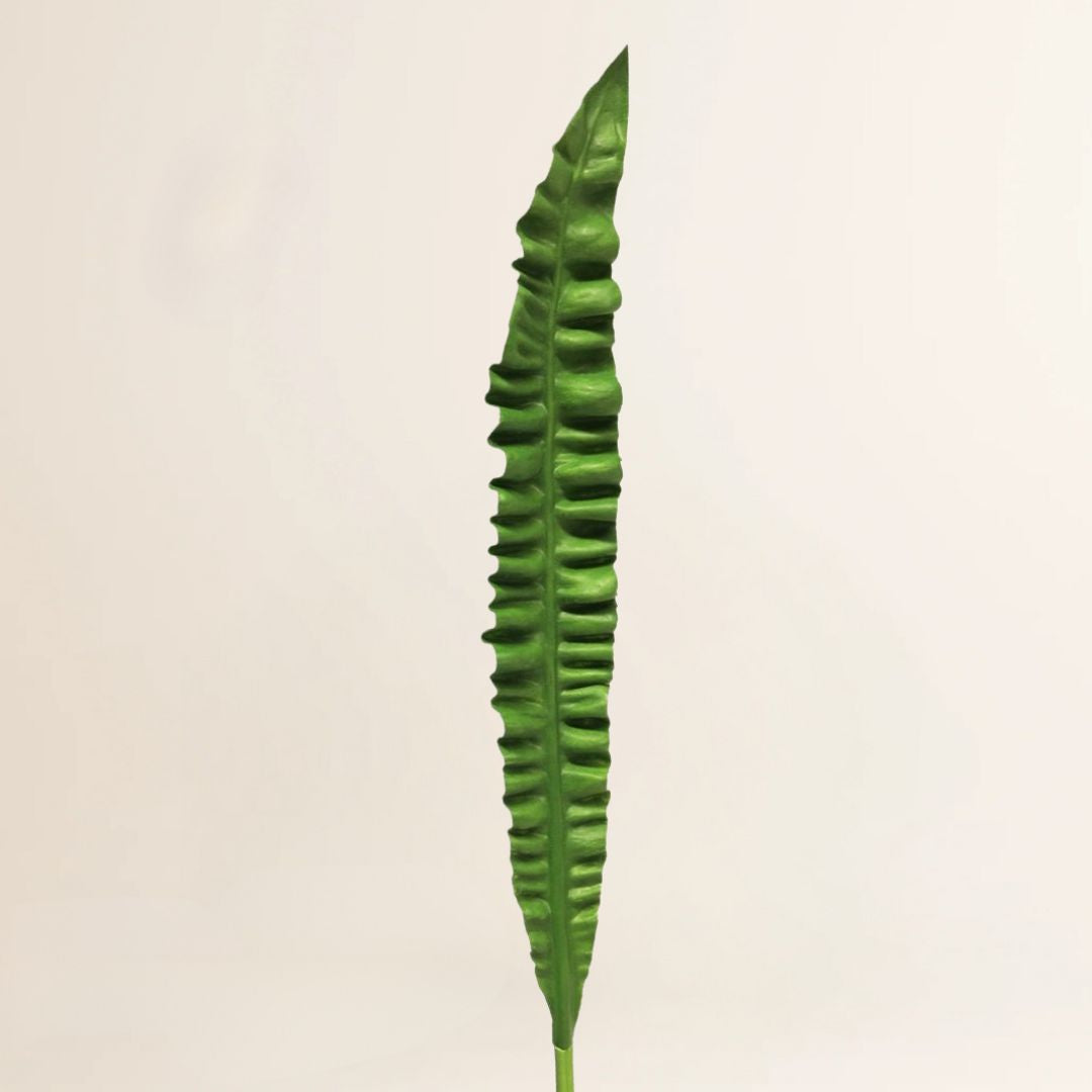 Losse zijden bloem Asplenium leaf groen 93 cm