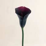 Losse zijden bloem Calla Nadia aubergine spray RT 59 cm