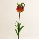 Losse zijden bloem Fritillaria oranje 119 cm