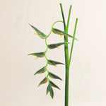 Losse zijden bloem Heliconia Ecosia groen 128 cm