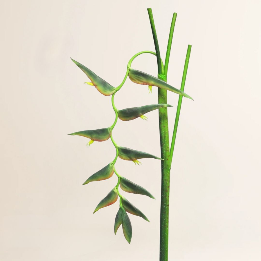 Losse zijden bloem Heliconia Ecosia groen 128 cm