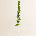 Losse zijden bloem Ierse klokjes Molucella groen 107 cm