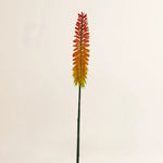 Losse zijden bloem Kniphofia spray oranje flower spray 87 cm