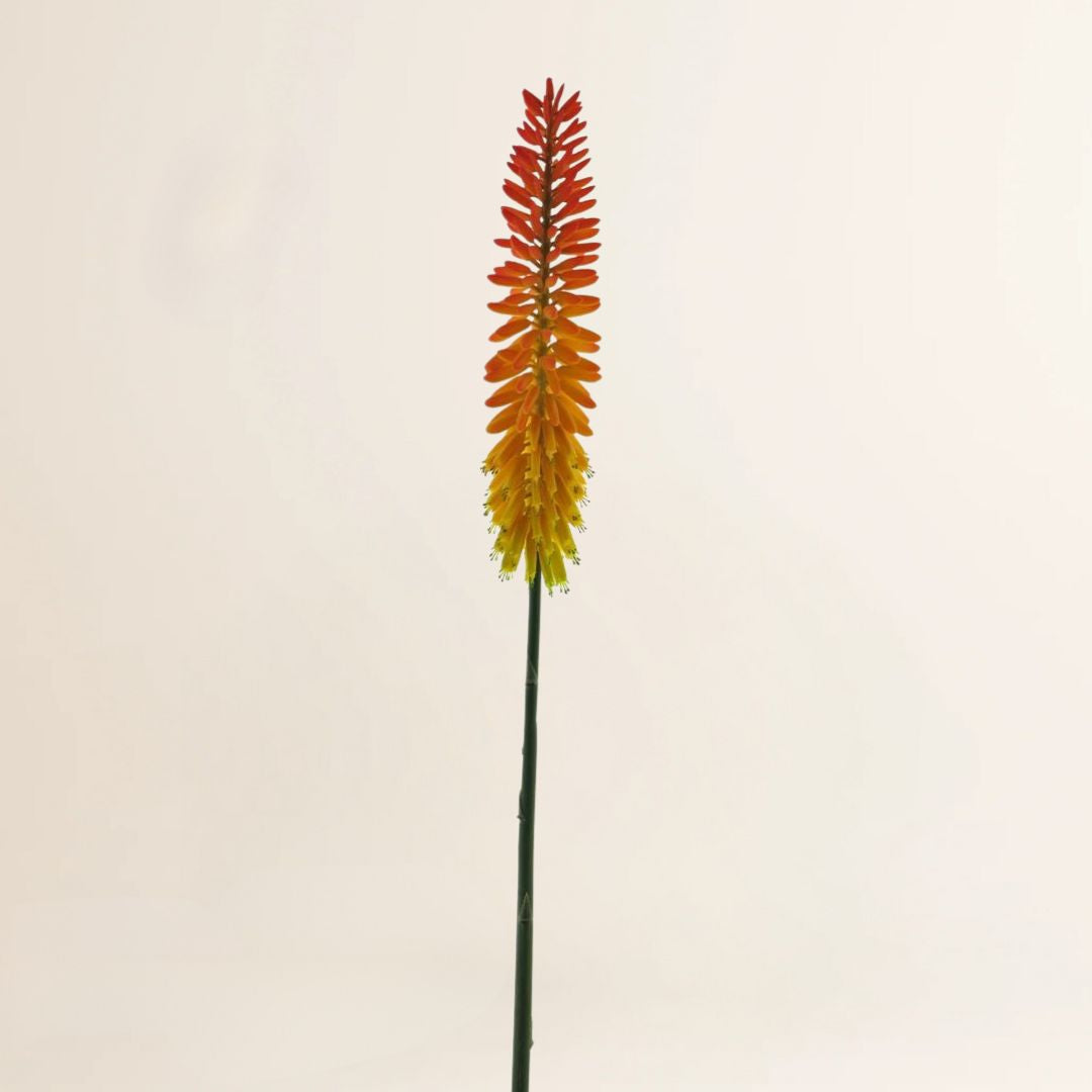 Losse zijden bloem Kniphofia spray oranje flower spray 87 cm