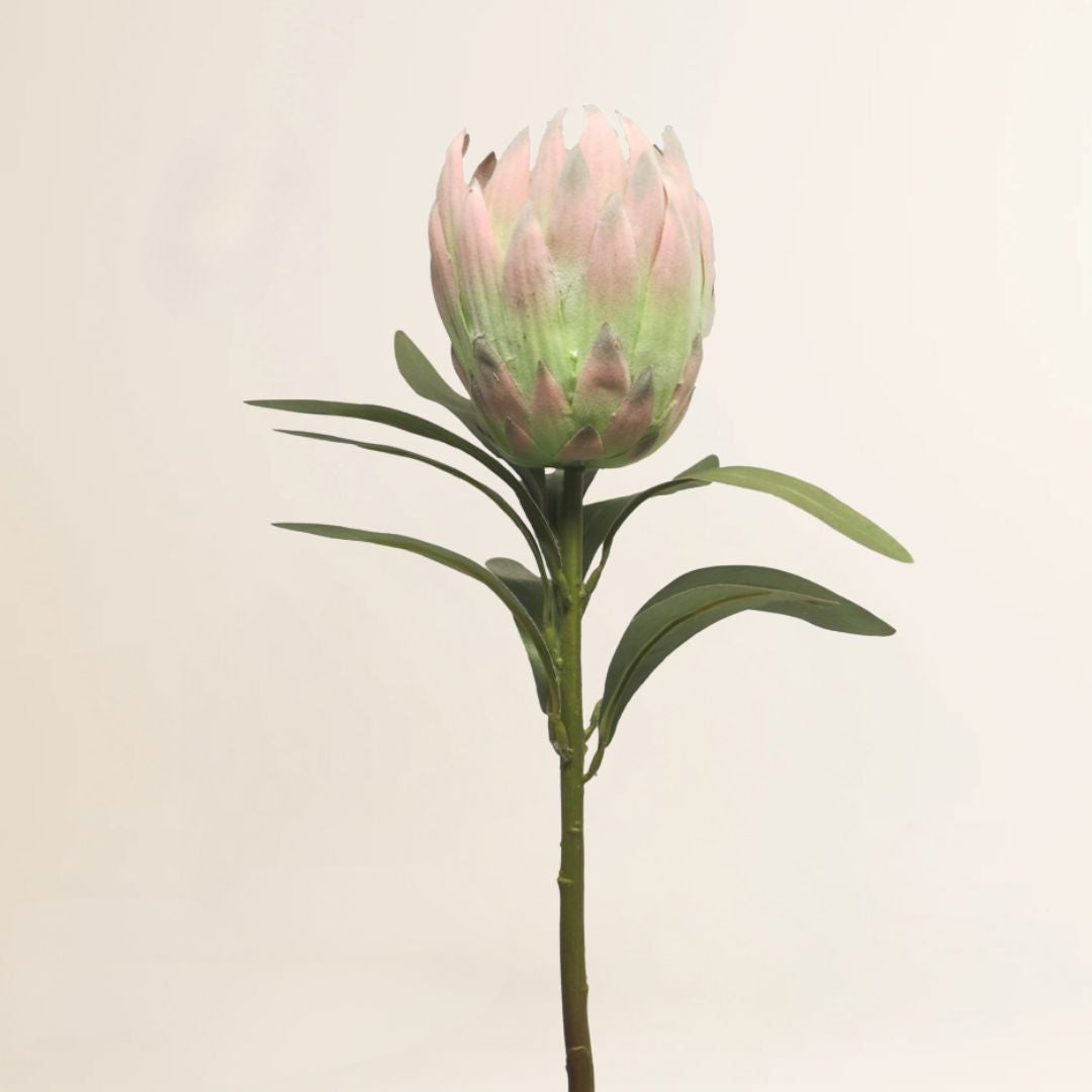 Losse zijden bloem Koningsprotea 70 cm