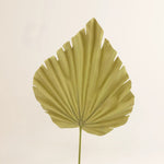 Losse zijden bloem Palm spray dk beige 60 cm