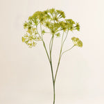 Losse zijden bloem Queen Anne lace spray 57 cm