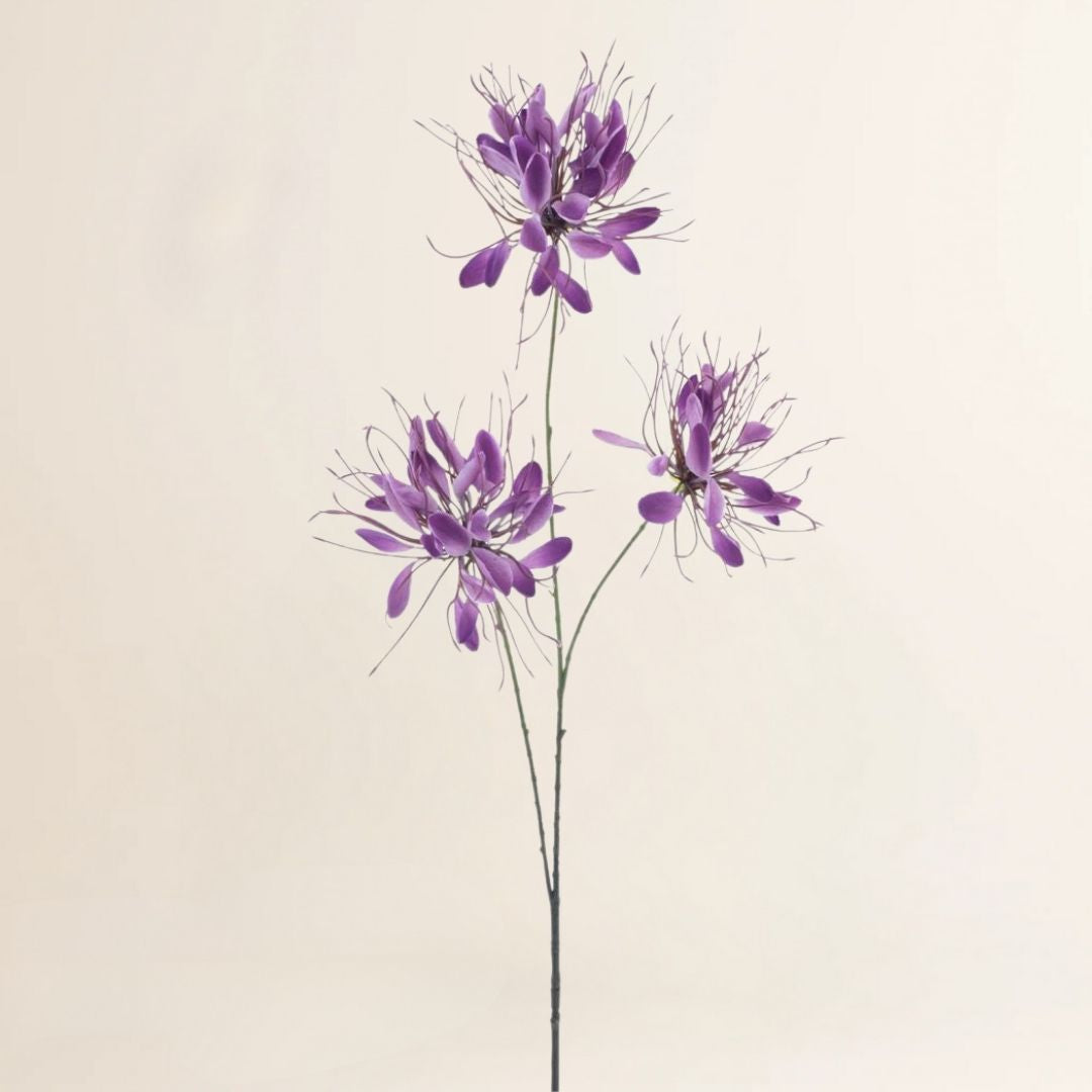 Losse zijden bloem Spinnenbloem paars 94 cm