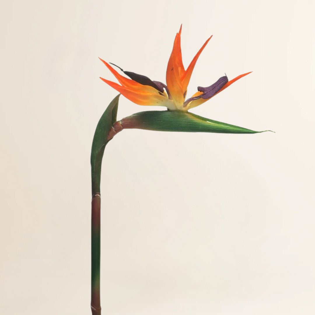 Losse zijden bloem Strelitzia Oranje 84cm