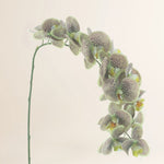 Losse zijden bloem Vlinderorchidee 111 cm