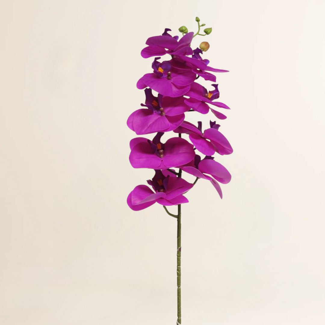 Losse zijden bloem Vlinderorchidee spray Bora 77 cm