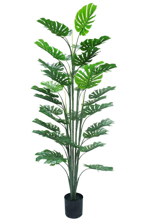 Monstera kunstplant 160 cm – Tropisch Zuid-Amerika