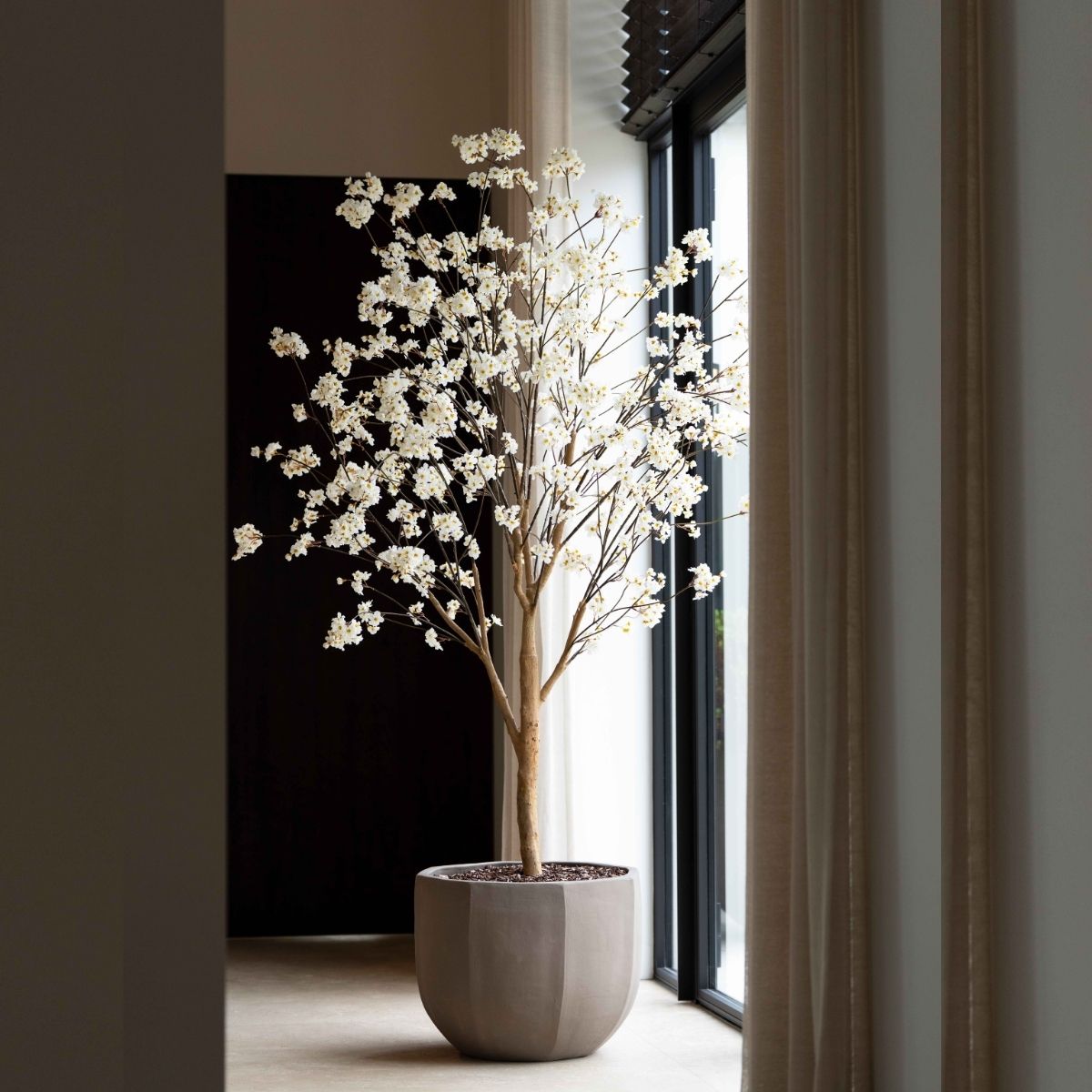 Bloesem boom crème 220cm