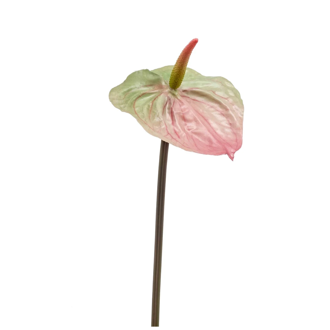 Anthurium roze/groen 65cm - Zijden bloem - Kunst bloem -duurzaam