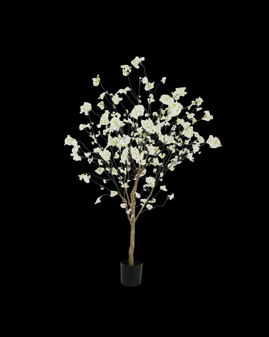 Bloesem boom crème 220cm