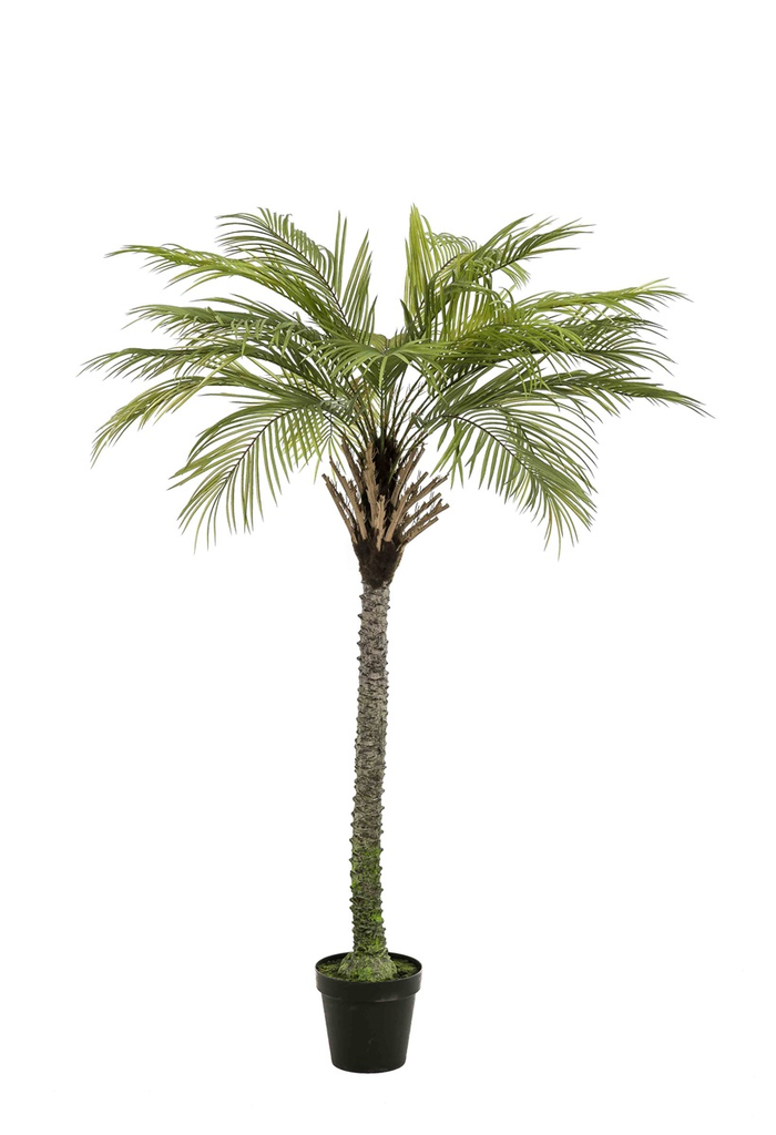 Phoenix palm deluxe  - Zijden plant- Kunst plant- 180cm