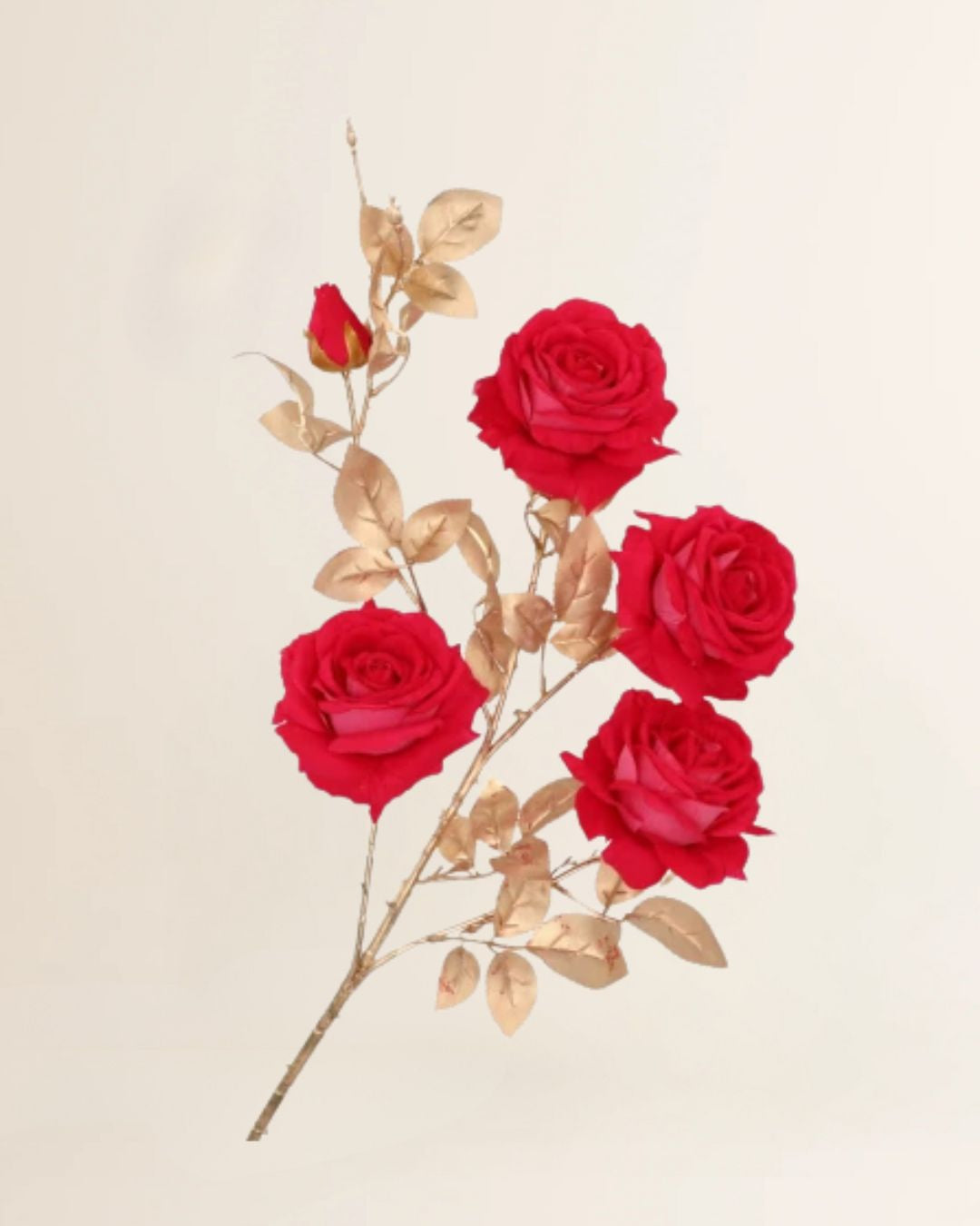 Roos Goldie 5x beauty 116 cm