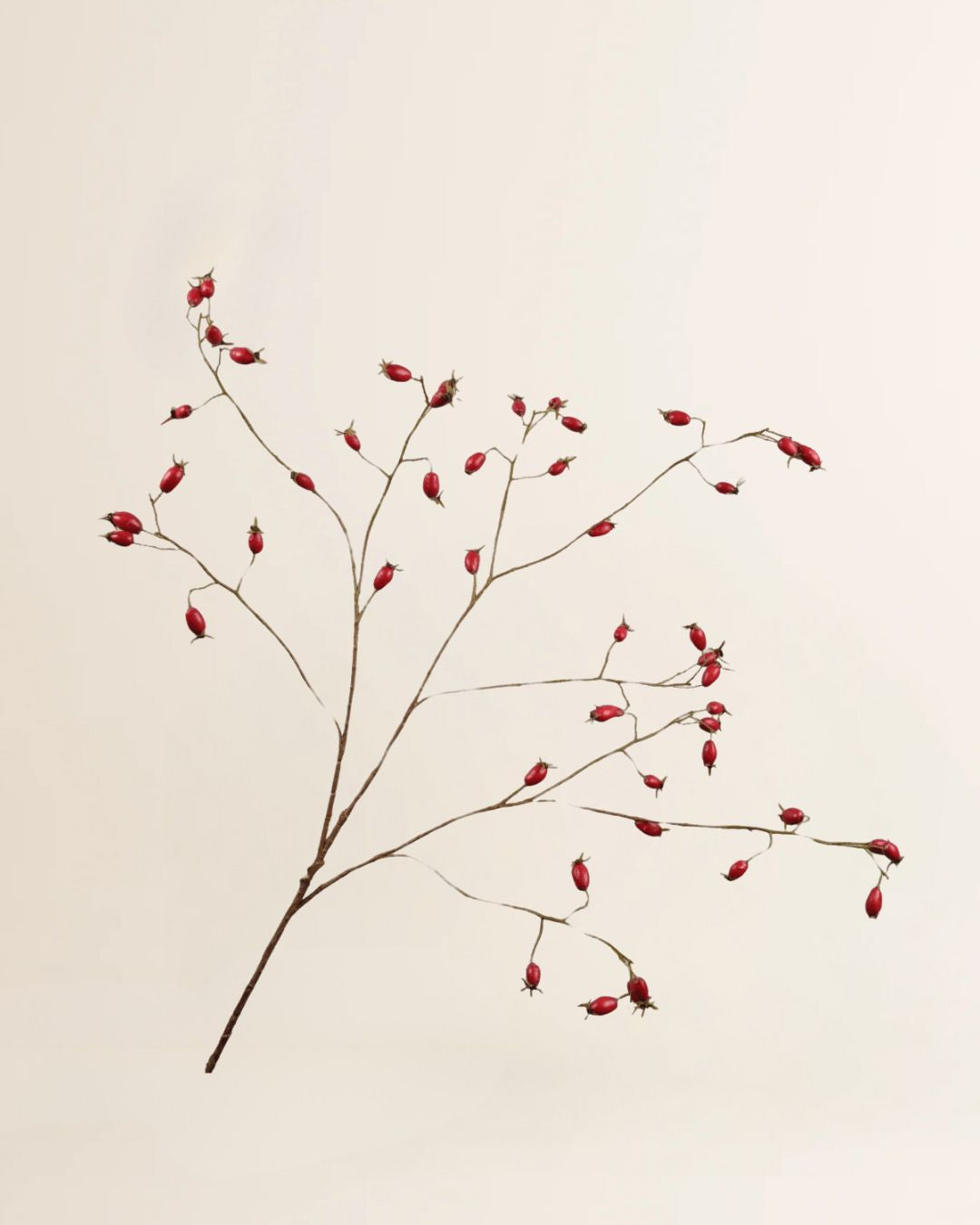 Rozenbottel rood 106cm