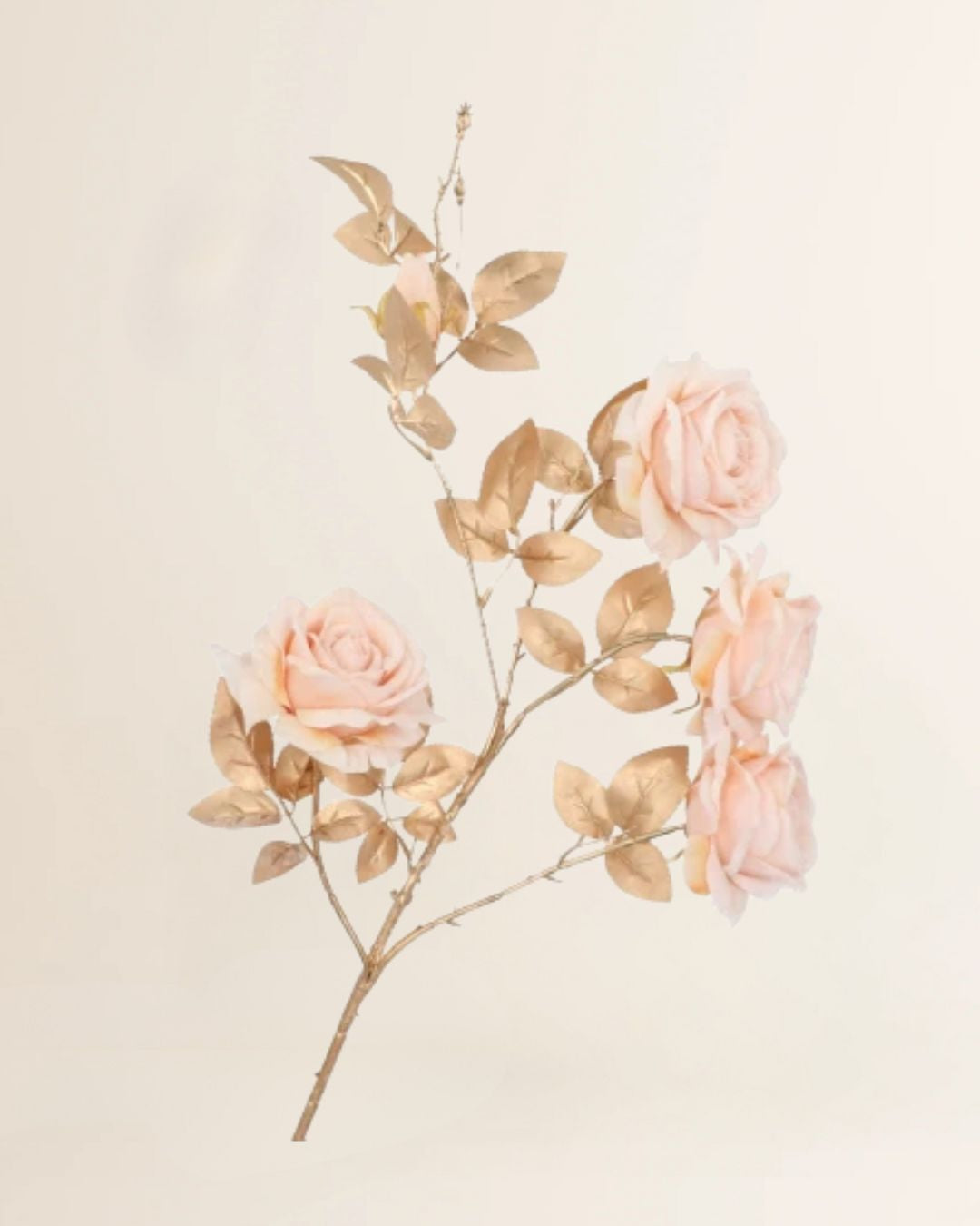 Roos Goldie 5x crème 116 cm