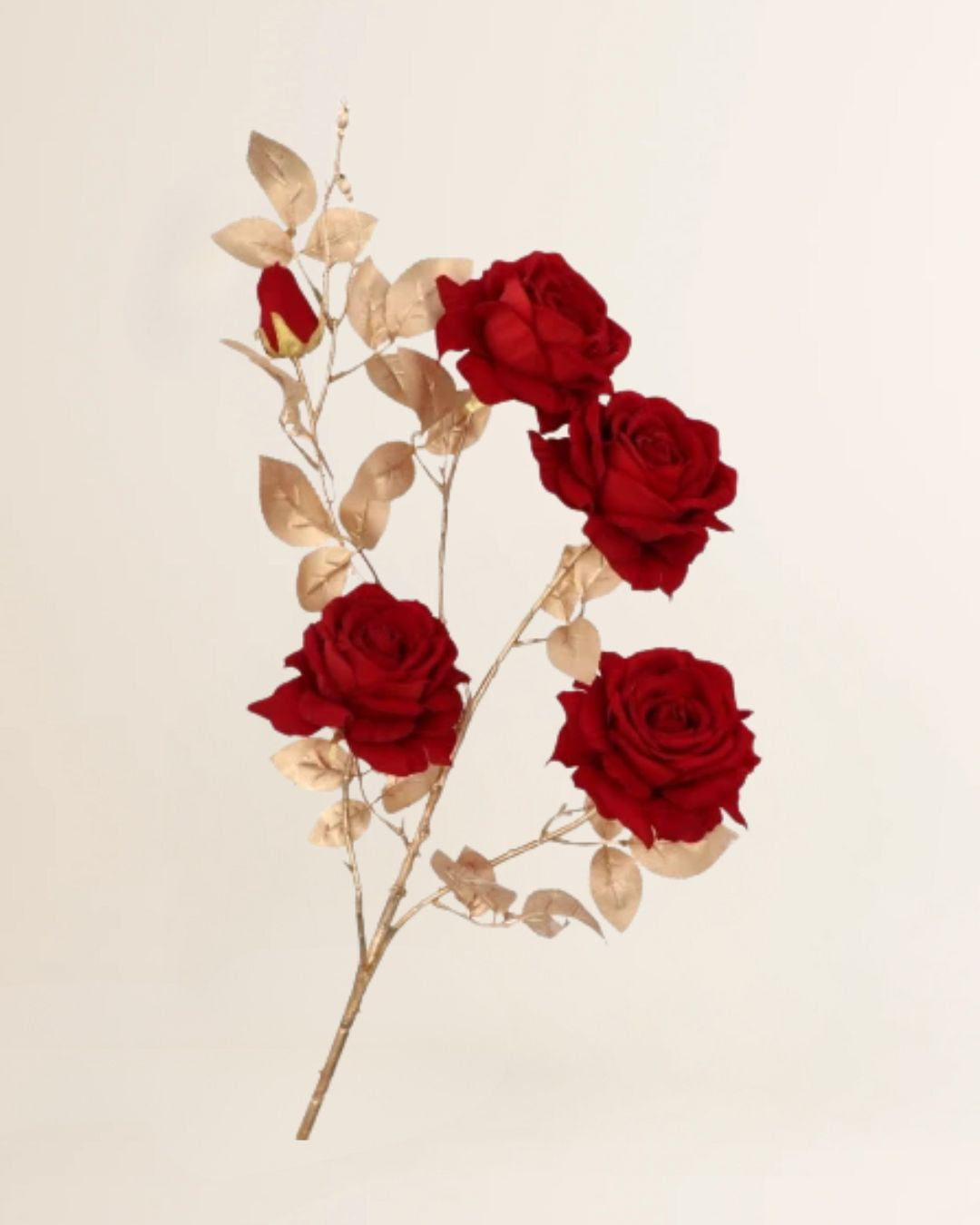 Roos Goldie 5x donkerrood 116 cm