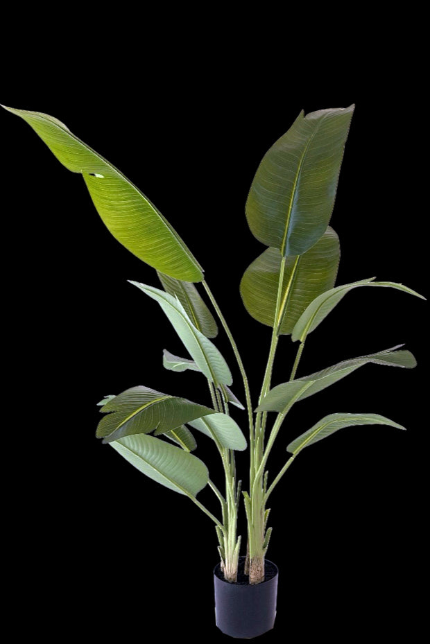 Kunstplant Strelitzia 200 cm real touch