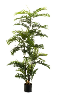 Phoenix palm 180cm/48lvs - Zijden plant- Kunst plant -duurzaam