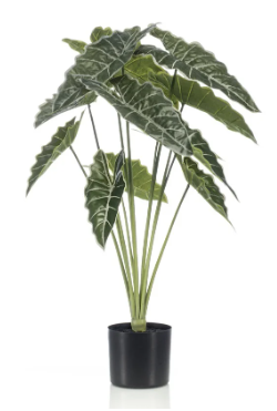 Alocasia 80cm/12lvs  - Zijden plant- Kunst plant -duurzaam