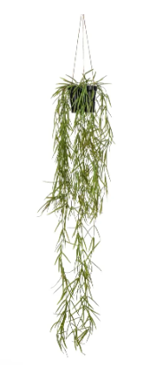 Hoya hanging bush 80cm in pot  - Zijden plant- Kunst plant -duurzaam