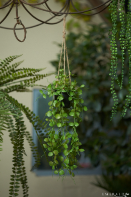 Ceropegia hanging bush 50cm  - Zijden plant- Kunst plant -duurzaam