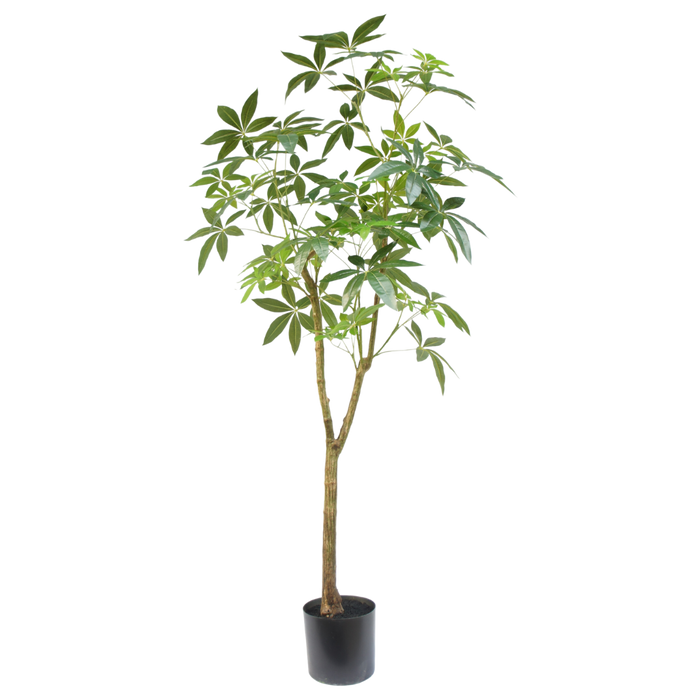 Schefflera boom  - 180cm - kunstplant - zijdenplant