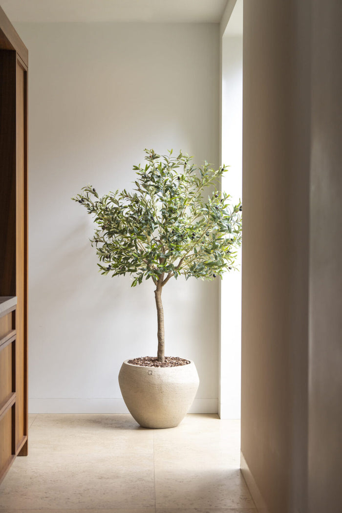 Olijf boom  - 180cm - kunstplant - zijdenplant