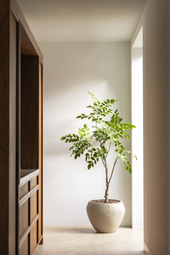 Sandalwood boom  - 180cm - kunstplant - zijdenplant