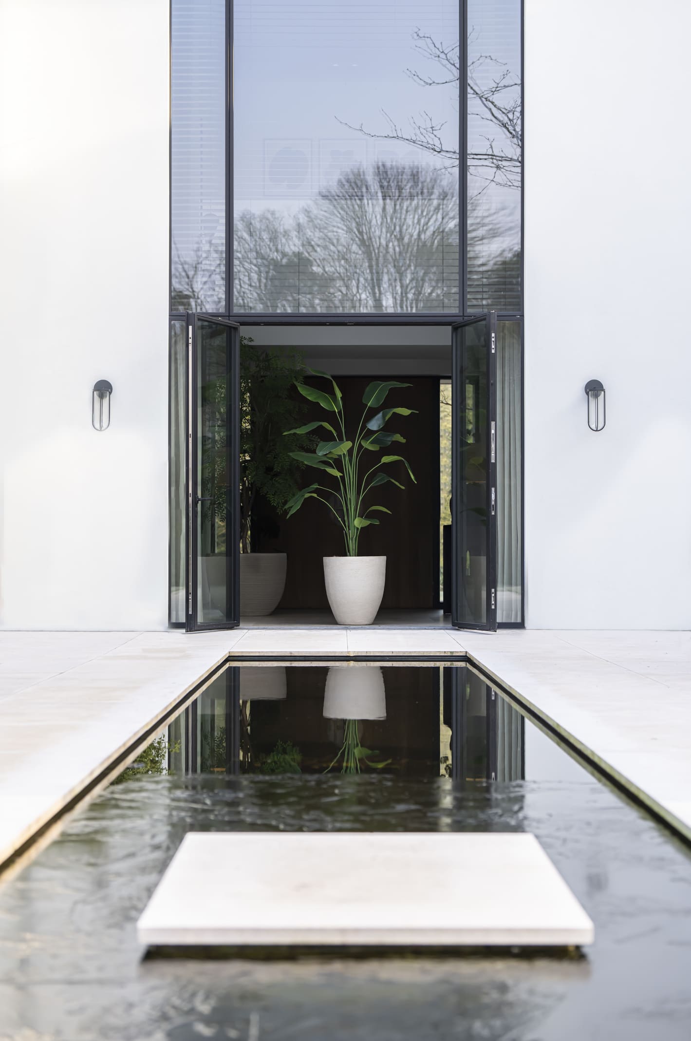 Strelitzia boom  - 210cm - kunstplant - zijdenplant