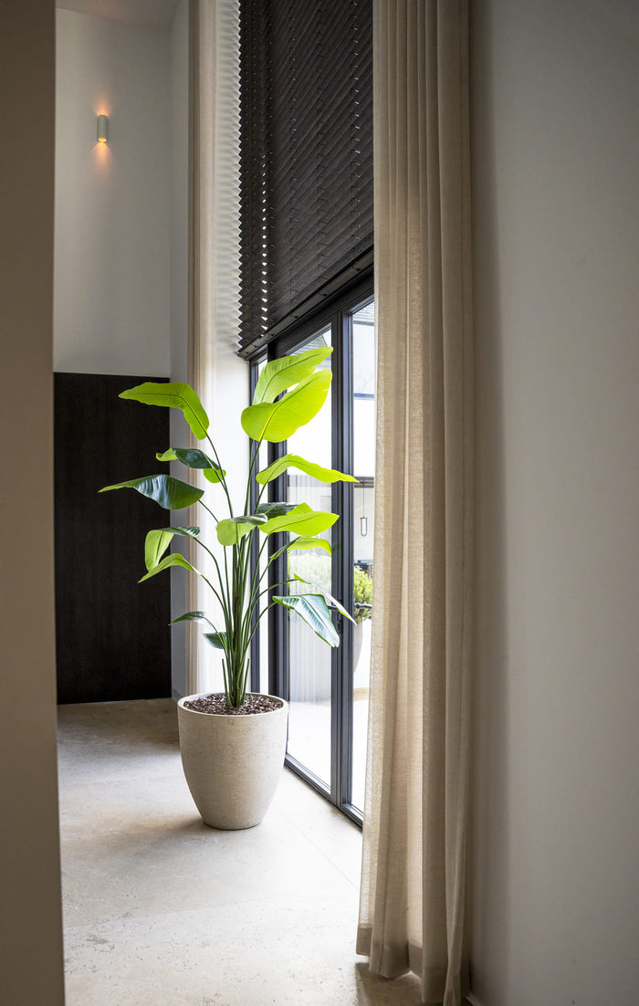 Strelitzia boom  - 180cm - kunstplant - zijdenplant