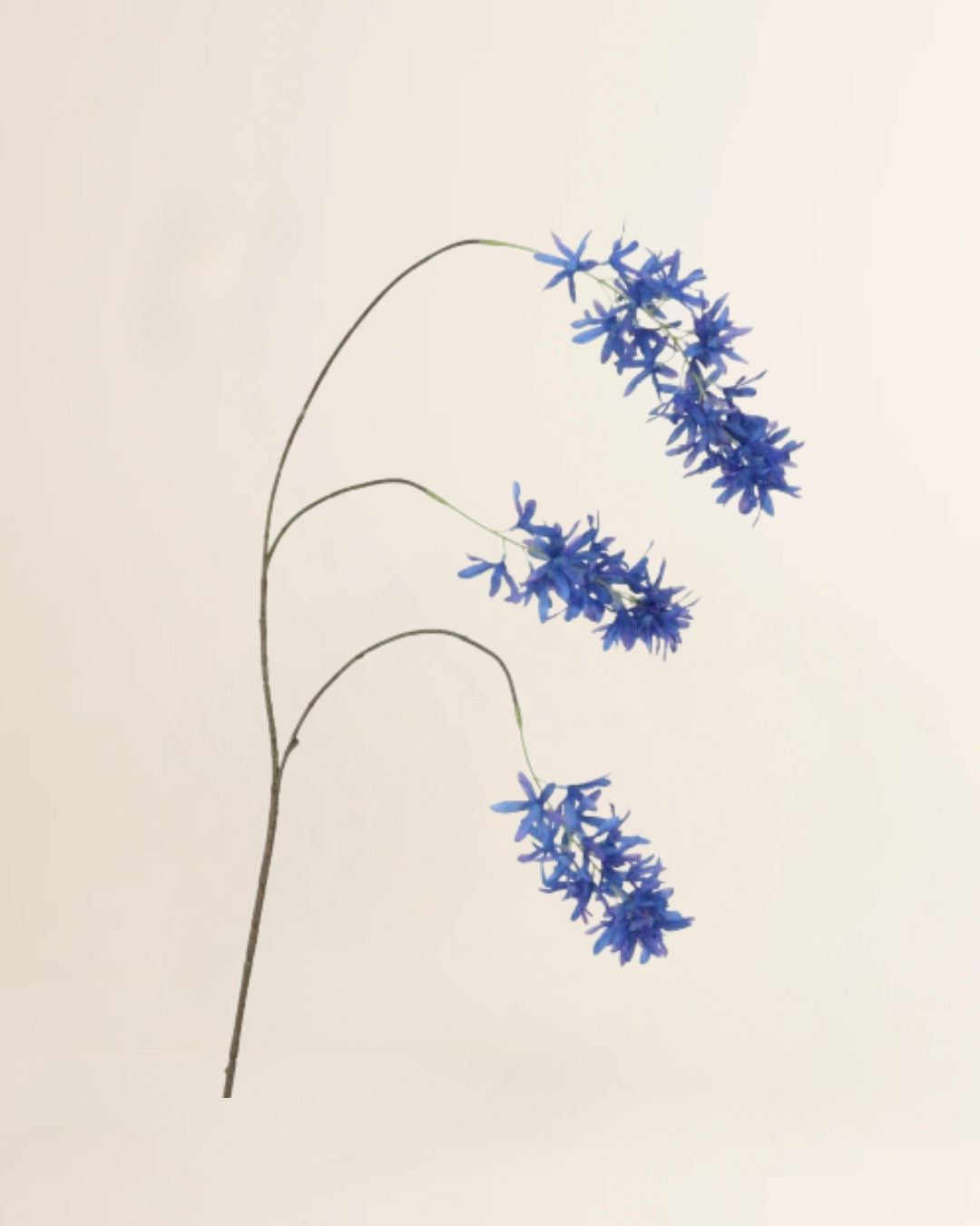 Voorjaarsbloem blauw 103 cm