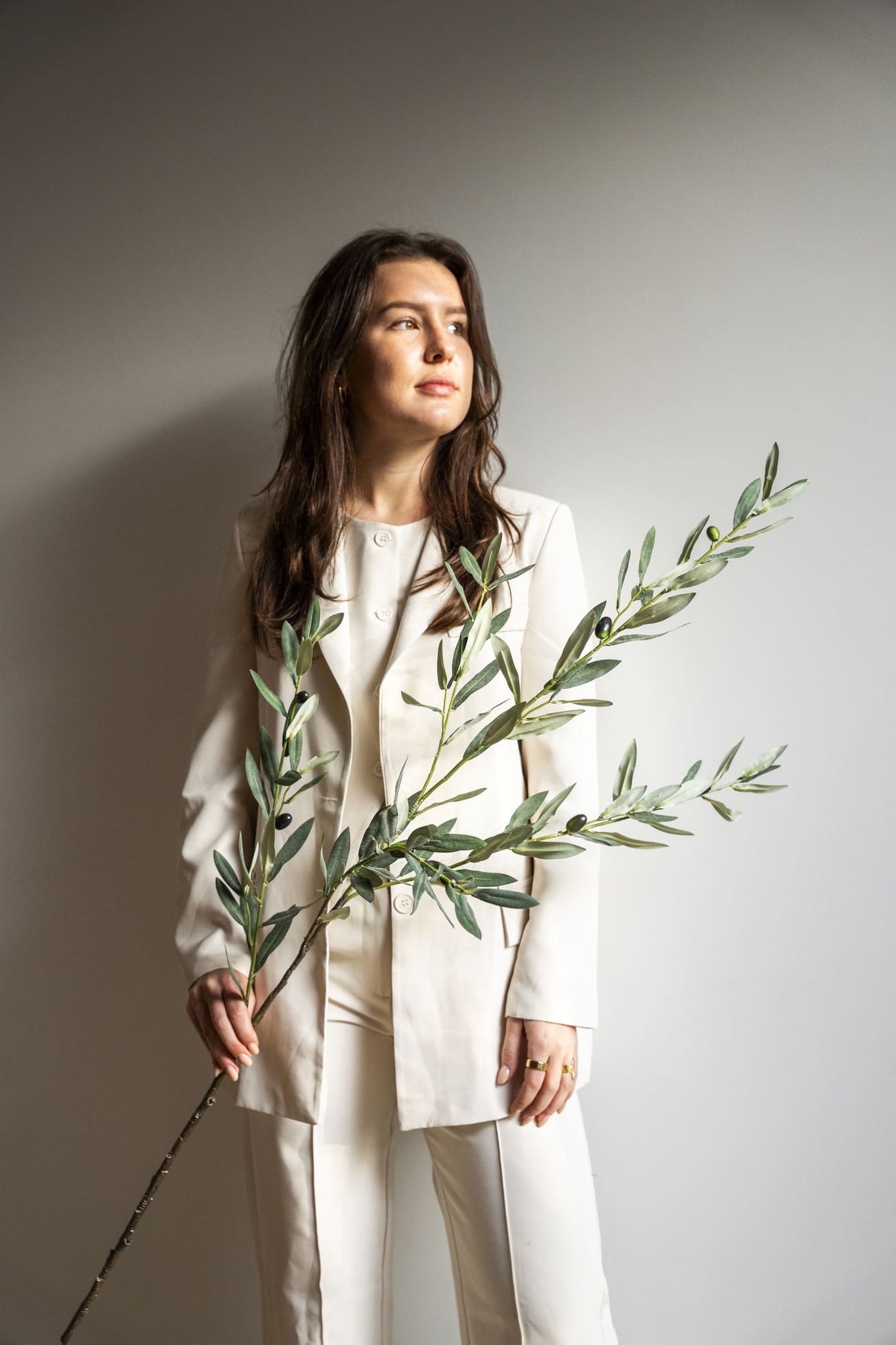 Olijf tak 100cm (set of 3)