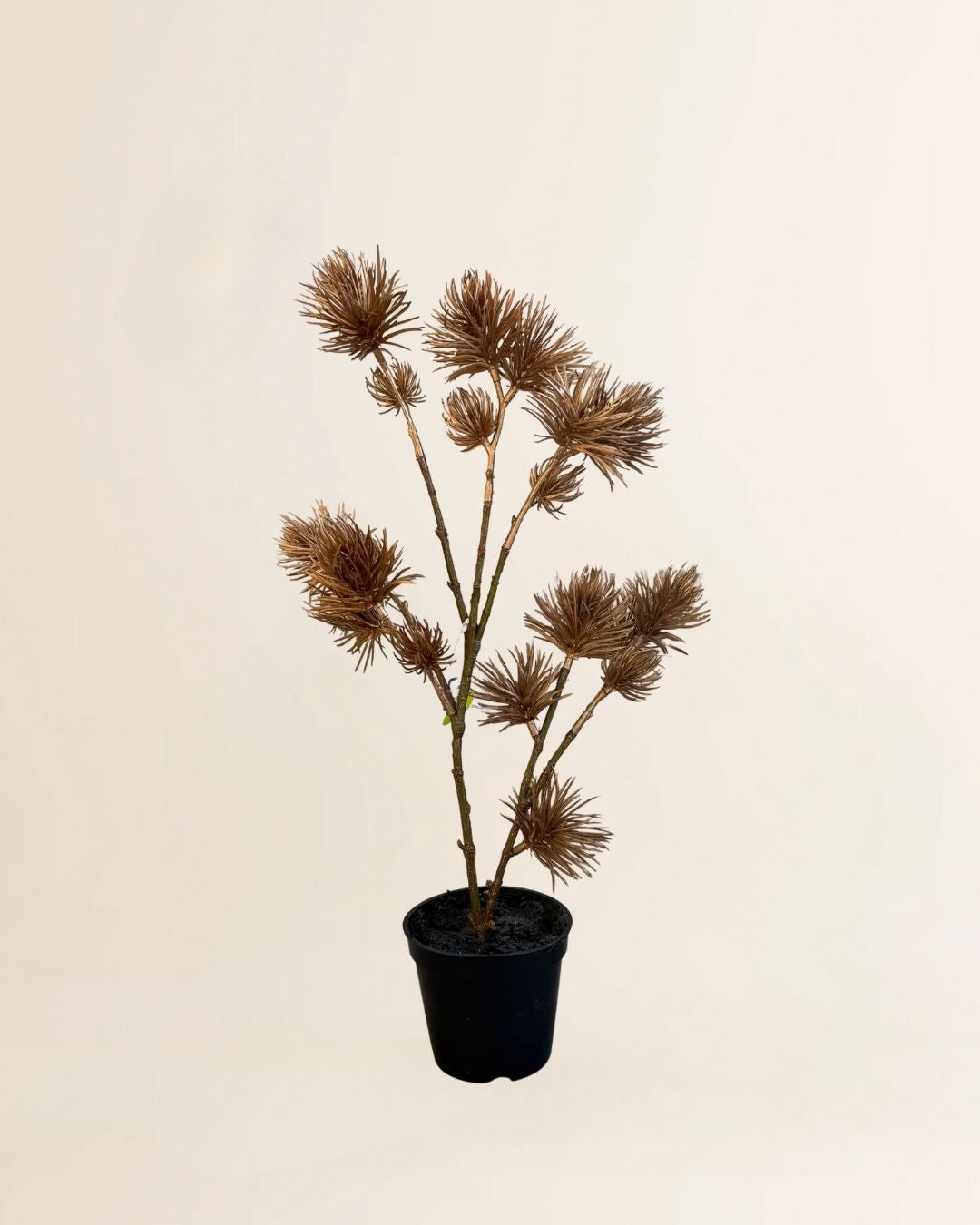 Kerst artikel - kerstboom brons 45H