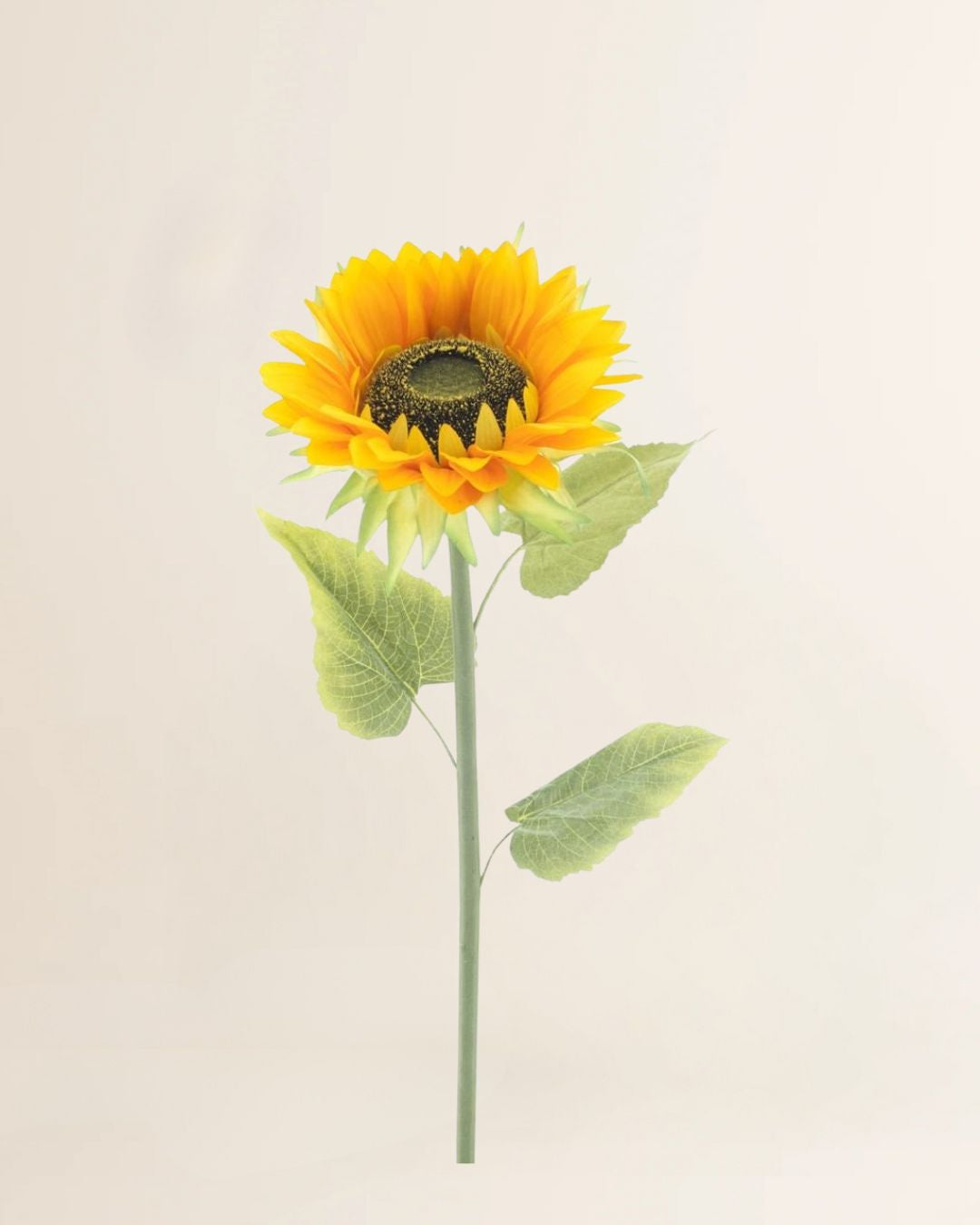 Zonnebloem Cordoba geel 90 cm