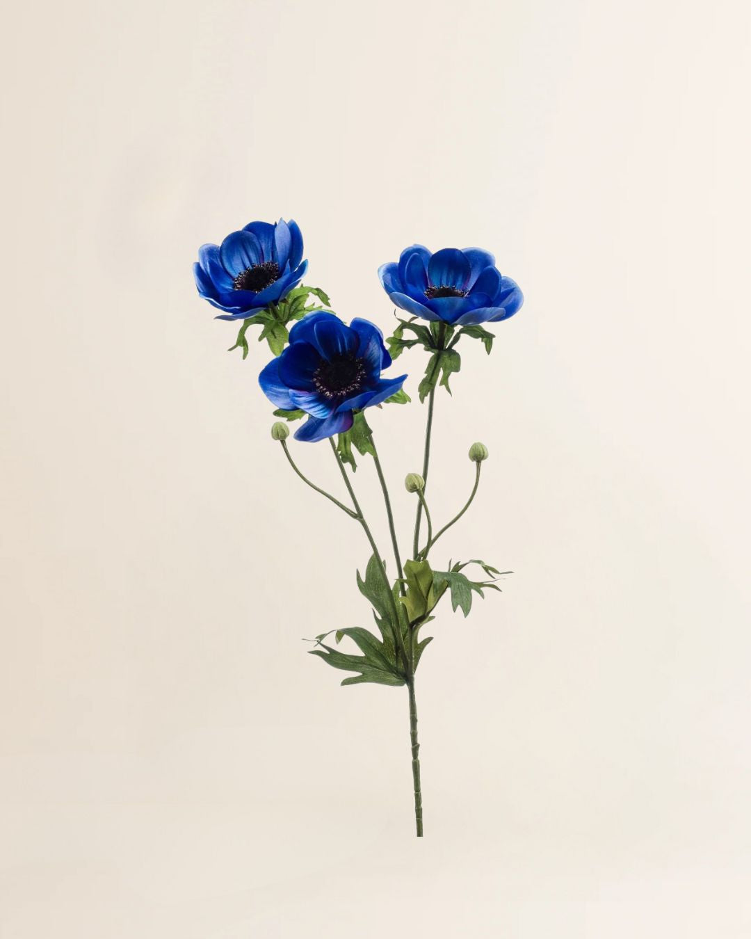 Anemoon tak Blue 75 cm