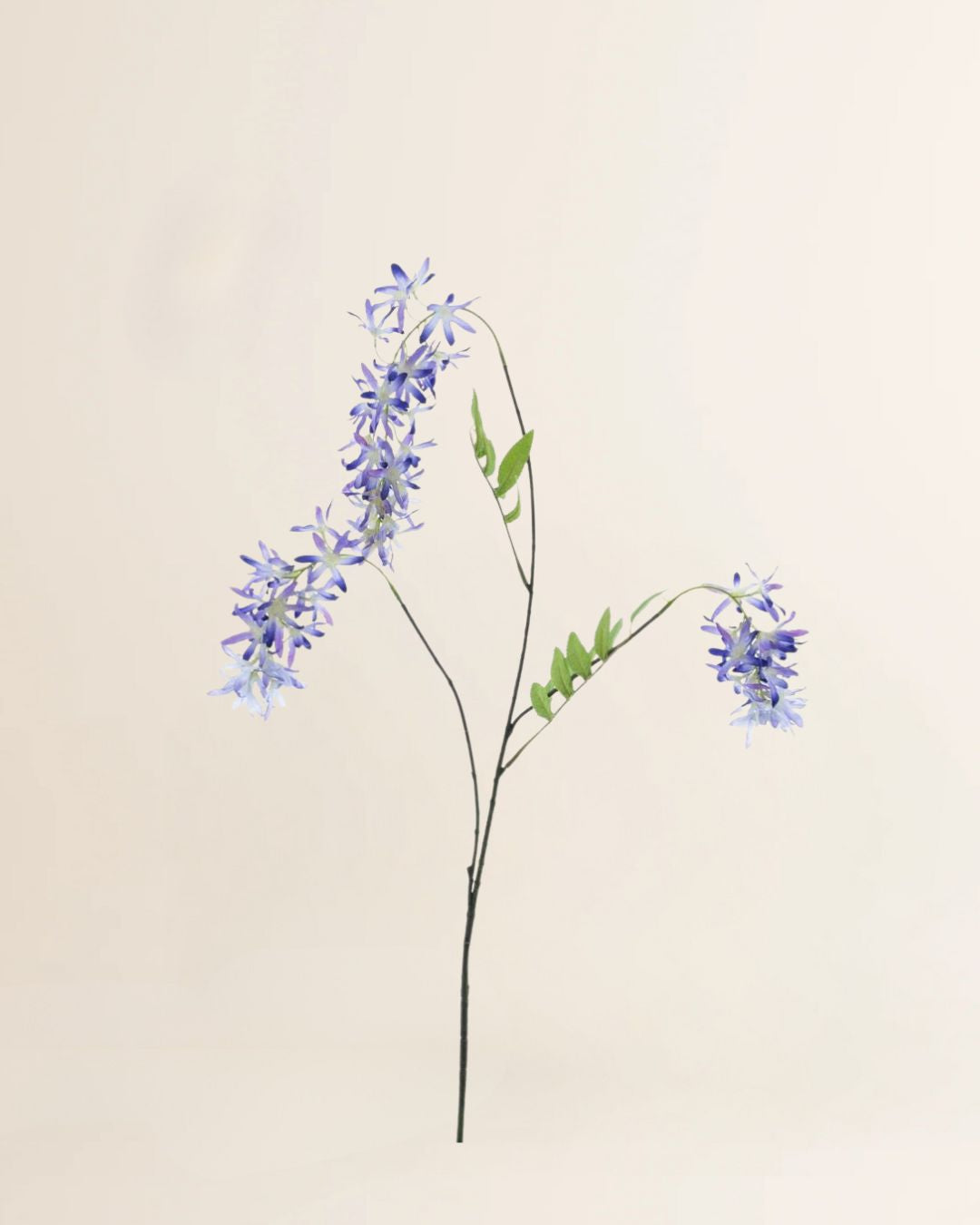 Voorjaarsbloem paars 103 cm