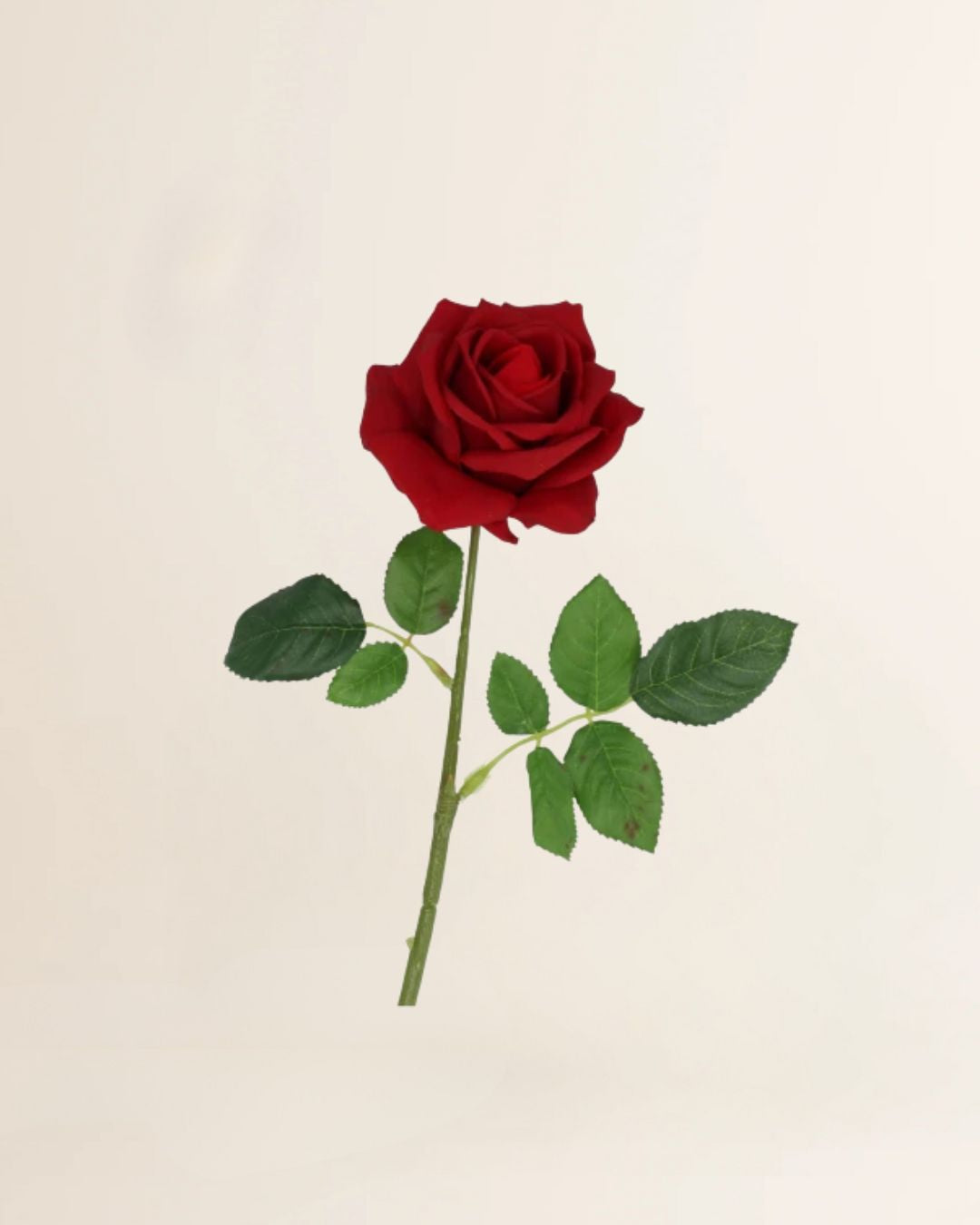 Silk rose real touch open red 43cm