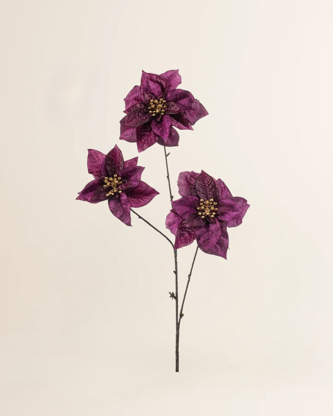 Poinsettia tak X3 Purple 80 cm