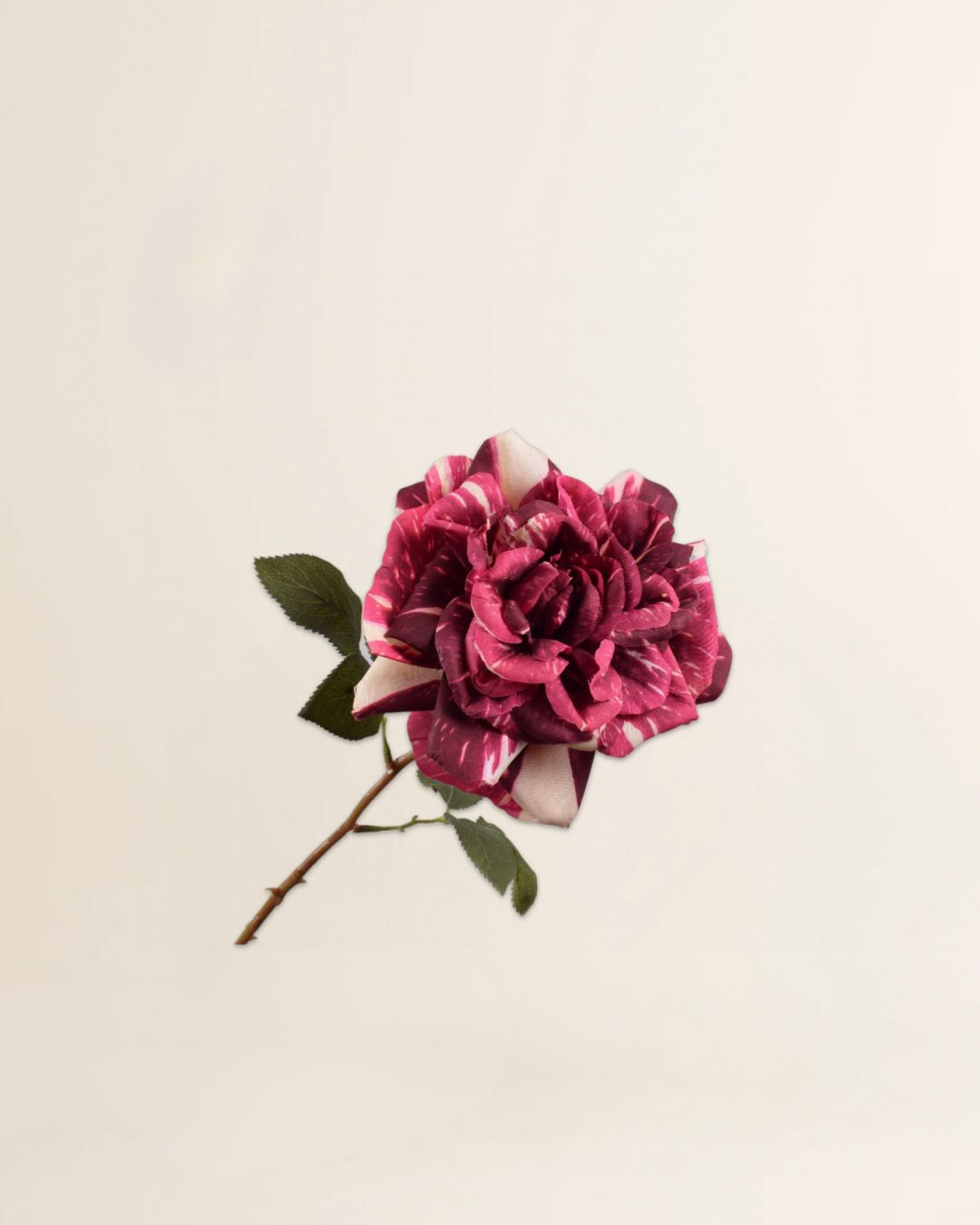 Roos steel beauty/crème 57 cm