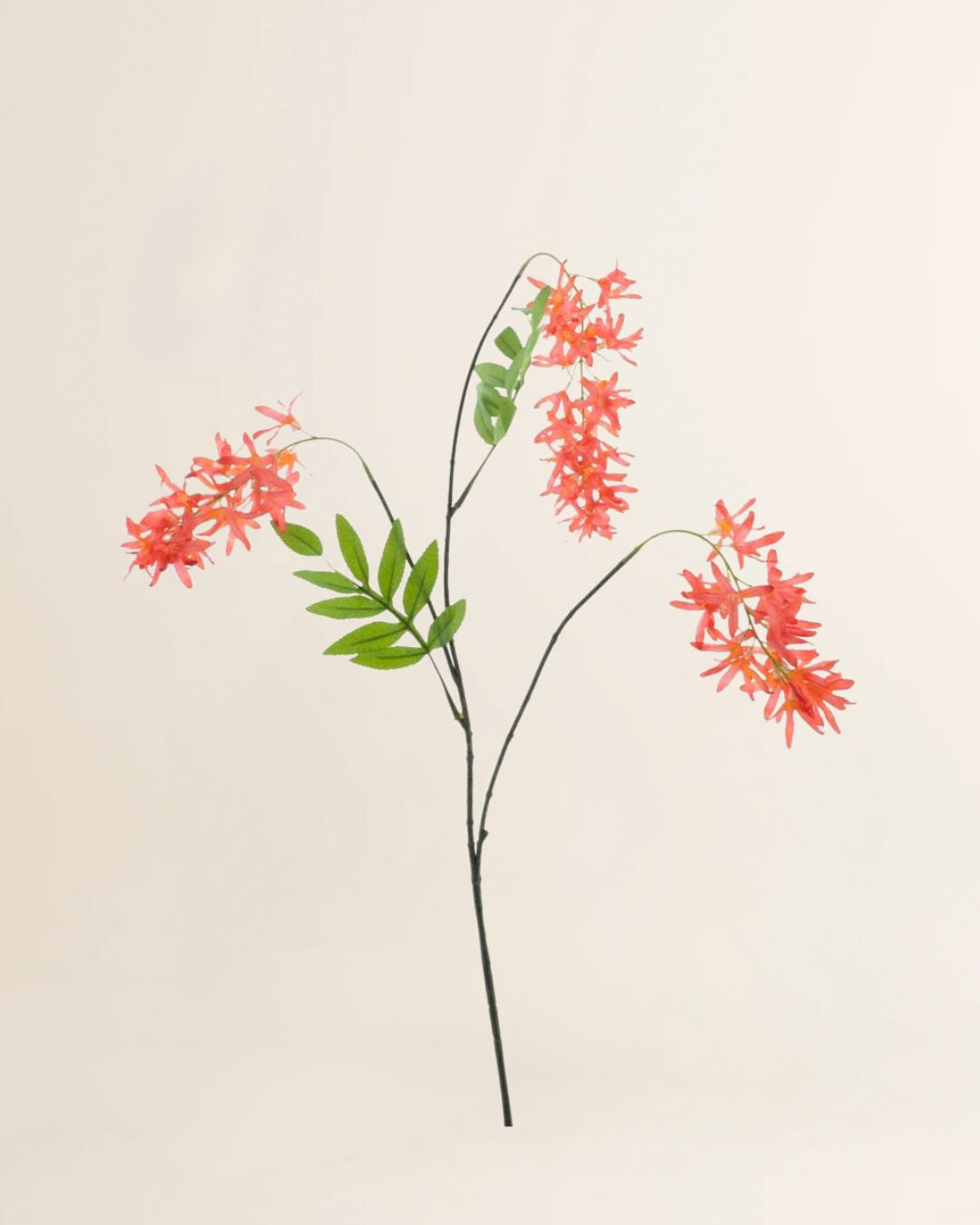 Voorjaarsbloem rood 103 cm