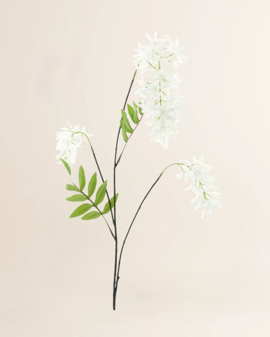 Voorjaarsbloem wit 103 cm